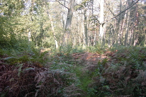 Wandelen in Zoersel 032