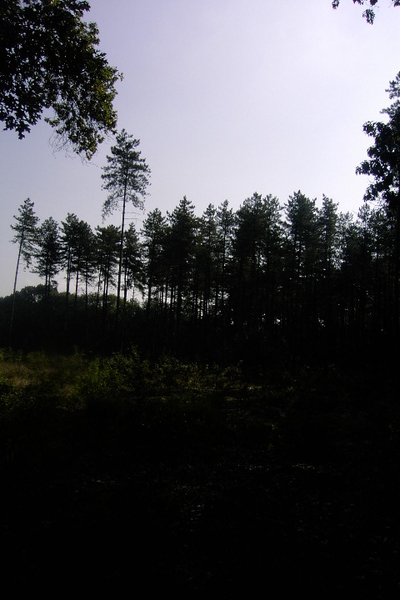 Wandelen in Zoersel 037