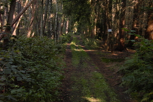 Wandelen in Zoersel 040