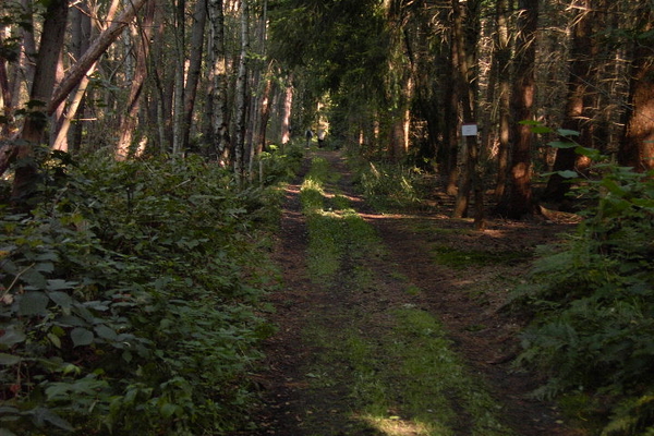 Wandelen in Zoersel 040