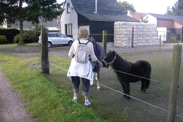 Wandelen in Zoersel 042