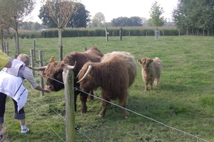 Wandelen in Zoersel 045