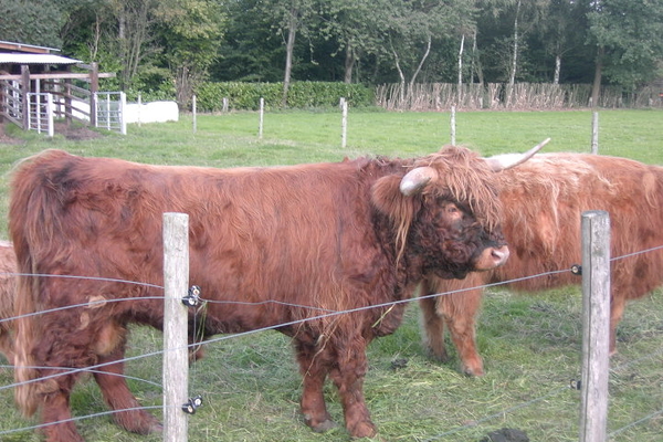 Wandelen in Zoersel 047