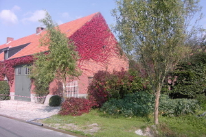 Wandelen in Zoersel 050