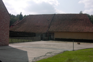 Wandelen in Zoersel 057