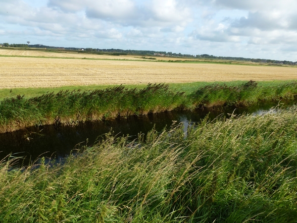 2012-08-22 Oostduinkerke 011