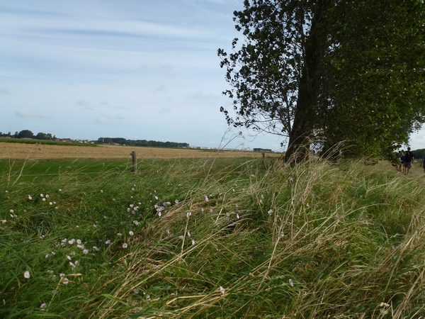 2012-08-22 Oostduinkerke 024