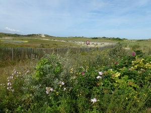 2012-08-22 Oostduinkerke 040