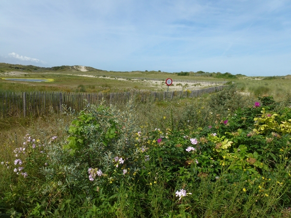 2012-08-22 Oostduinkerke 040