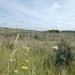 2012-08-22 Oostduinkerke 041