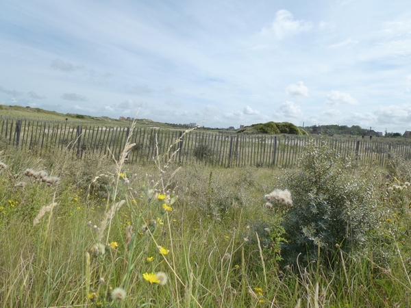 2012-08-22 Oostduinkerke 041