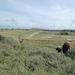 2012-08-22 Oostduinkerke 043