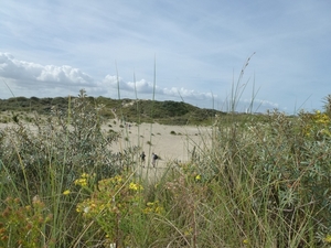 2012-08-22 Oostduinkerke 044