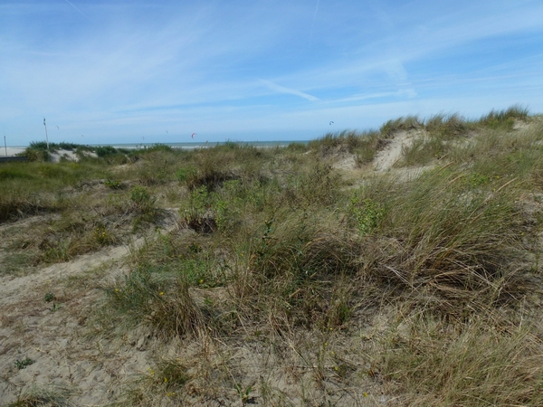 2012-08-22 Oostduinkerke 073