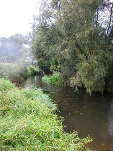 025-Kronkelende rivier de Mark in Tollembeek