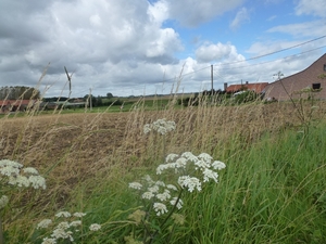 2012-08-25 Ieper 015