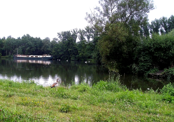 Sint Jozef - Kanaalkom (basseng !)