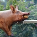 BBQ Buekers 2012 003