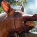 BBQ Buekers 2012 008