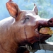 BBQ Buekers 2012 010
