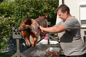 BBQ Buekers 2012 016