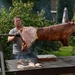 BBQ Buekers 2012 020