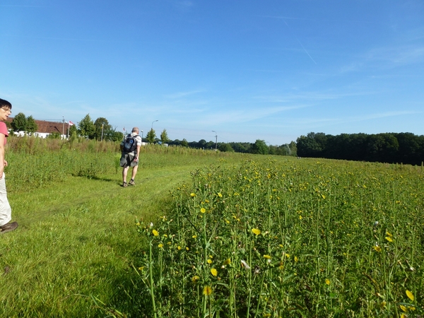 2012-08-29 Sint-Denijs-Westrem 007