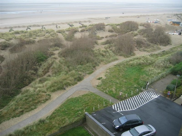 IMG_0959 (Medium) (2)