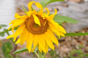 056