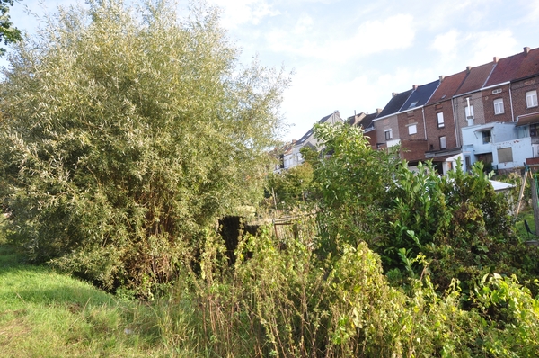 025 WANDELEN TUSSEN ZON EN REGEN.....