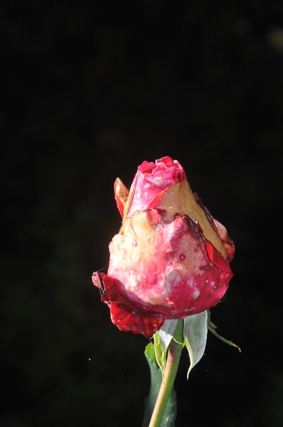 044