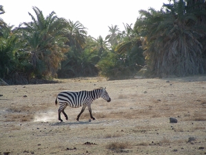 Kenia2005 019