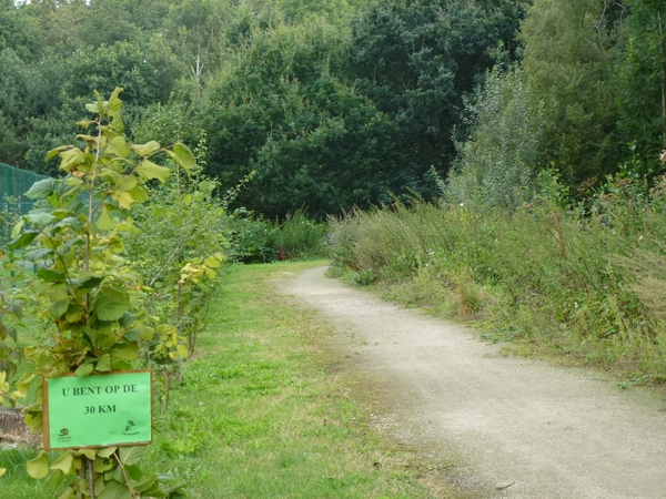 2012-09-02 Merelbeke 004