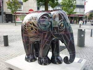 olifanten(25)