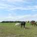 20120902.Merelbeke(PWC) 010