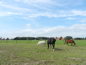 20120902.Merelbeke(PWC) 010