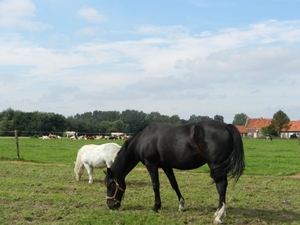 20120902.Merelbeke(PWC) 011