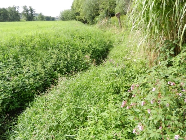 20120902.Merelbeke(PWC) 014