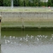 20120902.Merelbeke(PWC) 021