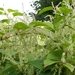 20120902.Merelbeke(PWC) 028