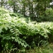 20120902.Merelbeke(PWC) 033