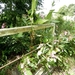 20120902.Merelbeke(PWC) 038