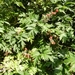 20120902.Merelbeke(PWC) 039