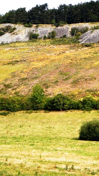 marche adeps wandeling Doische wallonie