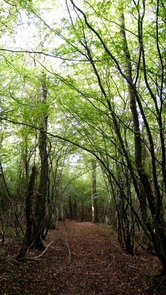 marche adeps wandeling Doische wallonie