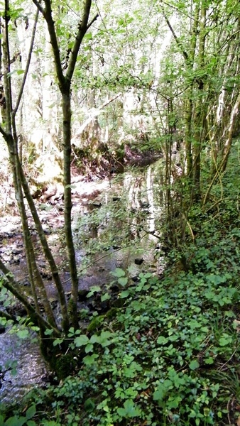 marche adeps wandeling Doische wallonie