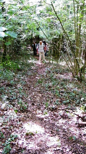 marche adeps wandeling Doische wallonie