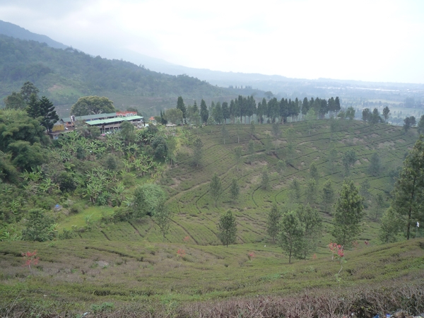 1B Puncak-pas _P1130616