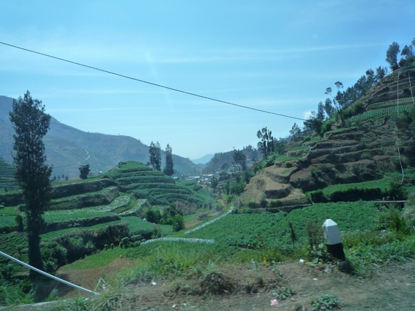 1E Dieng plateau, afdaling _P1130856