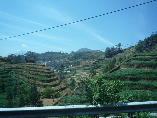 1E Dieng plateau, afdaling _P1130858